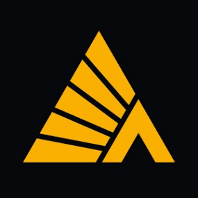 Логотип компании Деловые Линии Находка